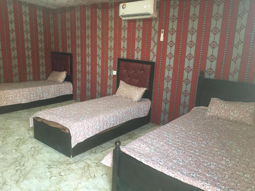 Oryx Camp Wadi Rum Exterior photo